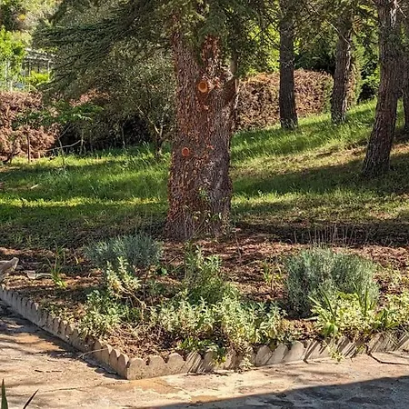 La Pinede Villa *